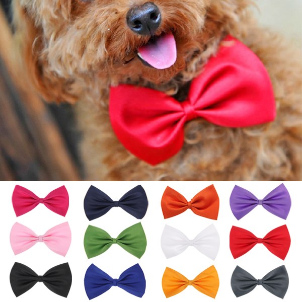 Best Cat And Dog Acessory Brands Best Cat And Dog Acessory Brands