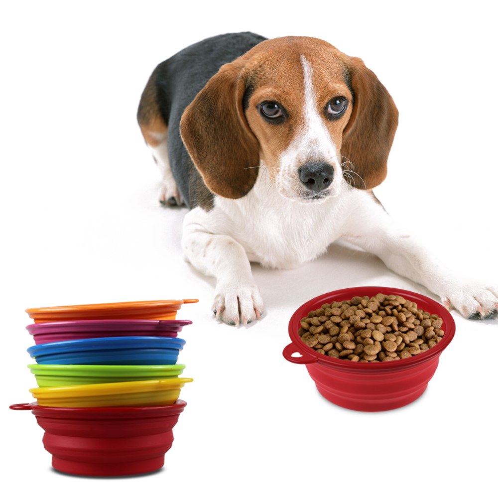 silicone puppies ebay silicone collapsible pet cat puppy feeding bowl food water travel outdoor ebay silicone puppies ebay silicone collapsible pet cat puppy feeding bowl food water travel outdoor ebay