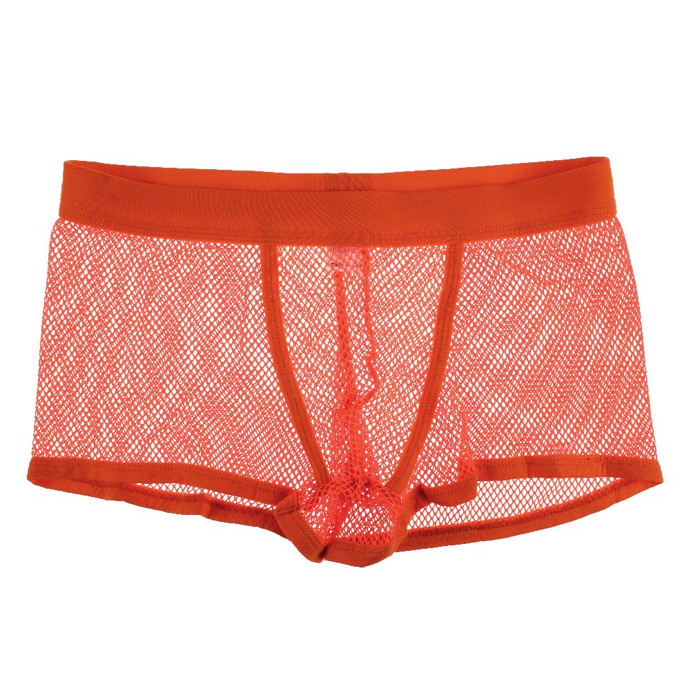 Sexy Men's Underwear Fish Net Seethrough Boxer Brief Trunks Sheer