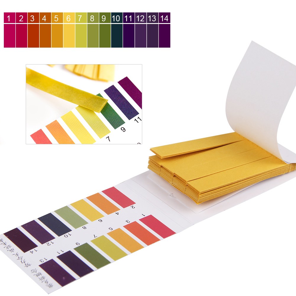 litmus paper A detailed guide on how to make litmus paper using red cabbage to test whether substances are acidic or basic bases turn green or blue whilst acids turn it red. litmus paper A detailed guide on how to make litmus paper using red cabbage to test whether substances are acidic or basic bases turn green or blue whilst acids turn it red.