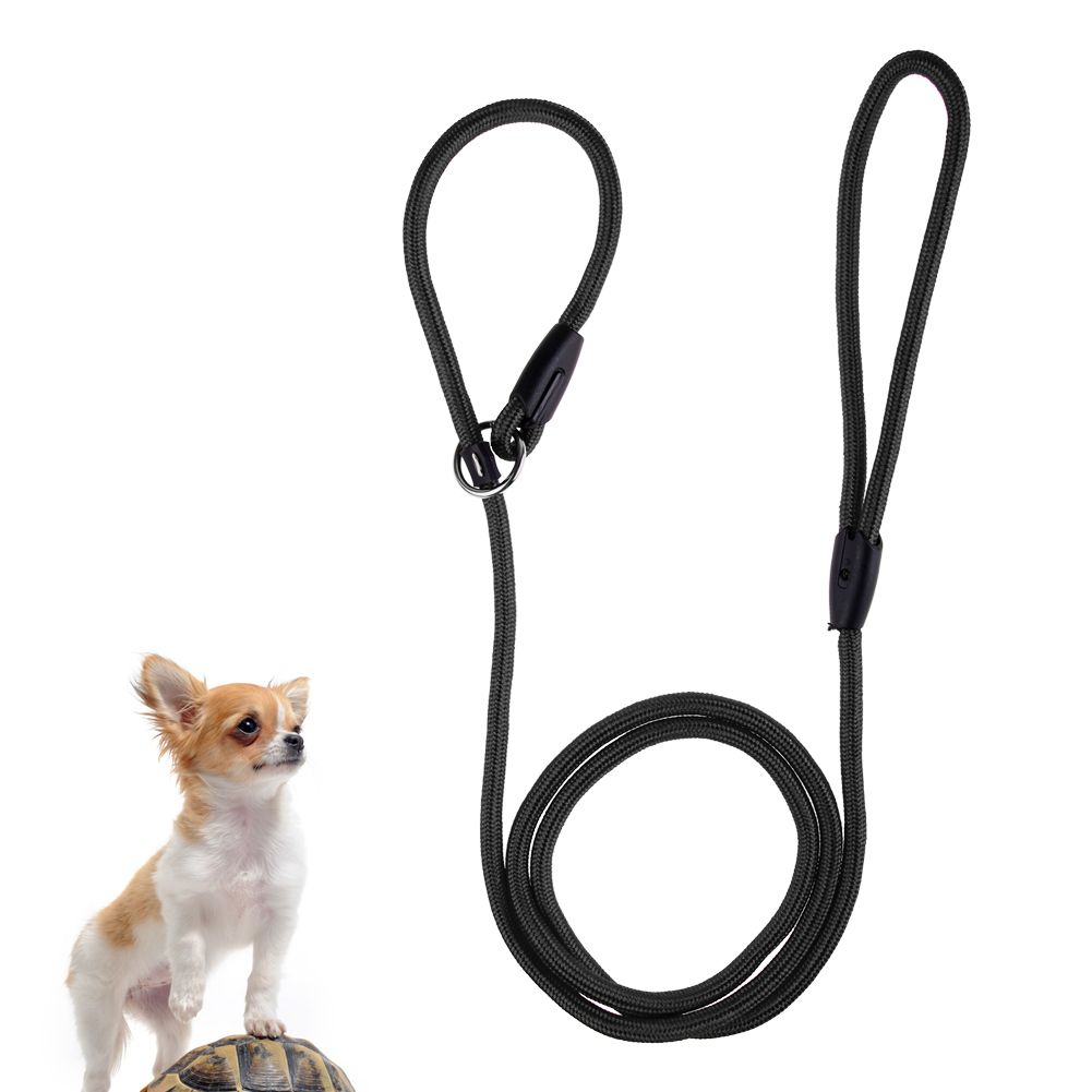 slip leash for dogs leash slip lead adjustable traction collar pet rope for ebay slip leash for dogs leash slip lead adjustable traction collar pet rope for ebay