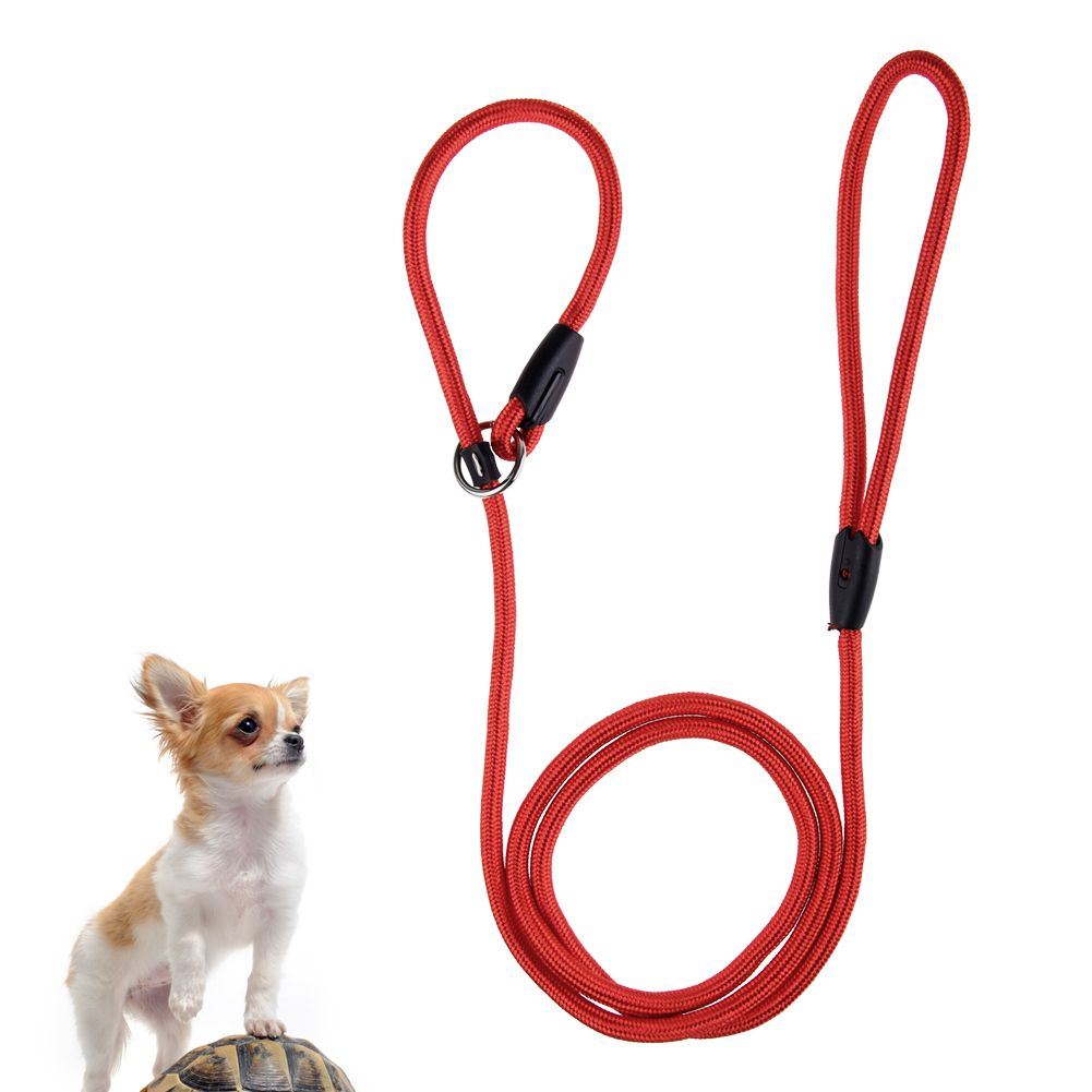 Nylon Slip Leash 20